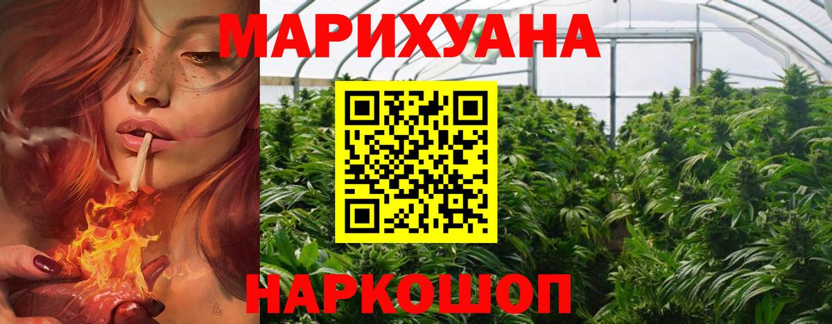 Бошки Шишки сатива Юрга